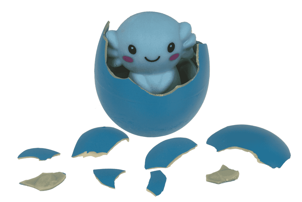 Growing Egg, Axolotl,