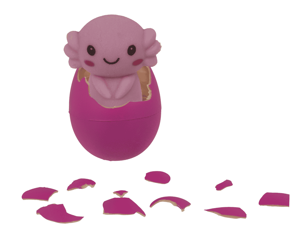 Growing Egg, Axolotl,