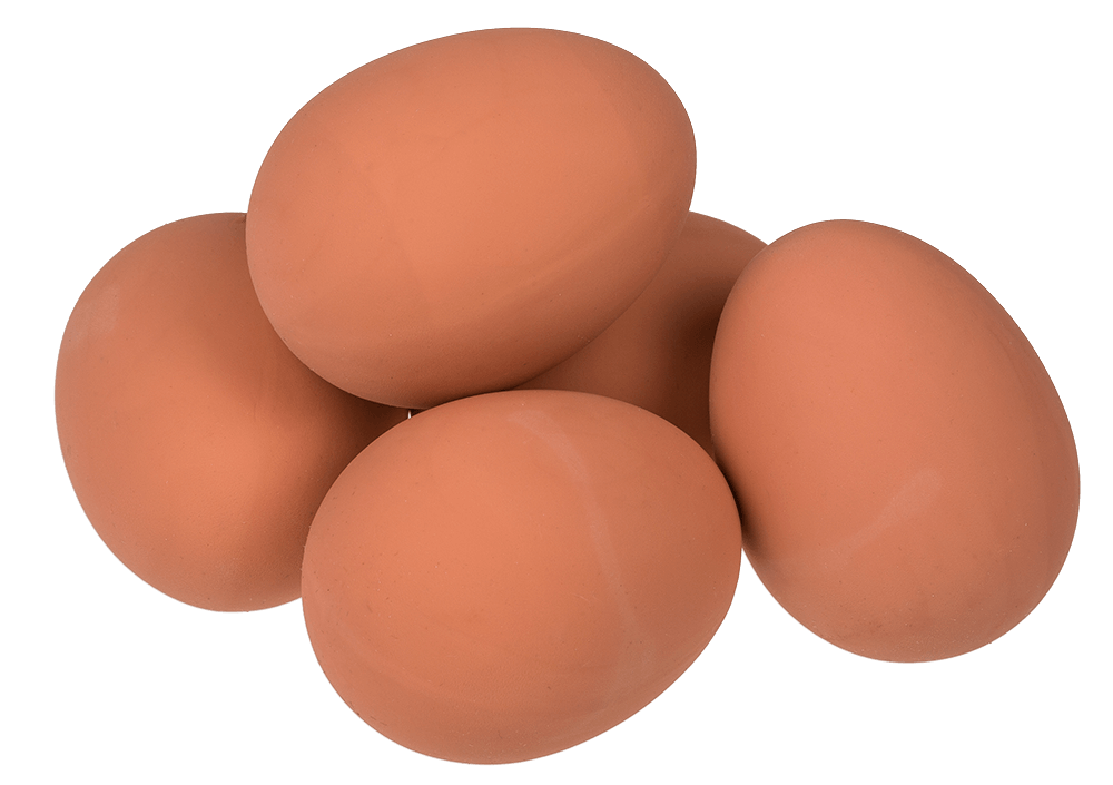 Bouncing ball, Egg,