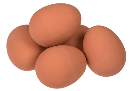 Bouncing ball, Egg,
