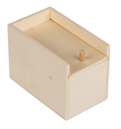 Scary spider in wooden box,