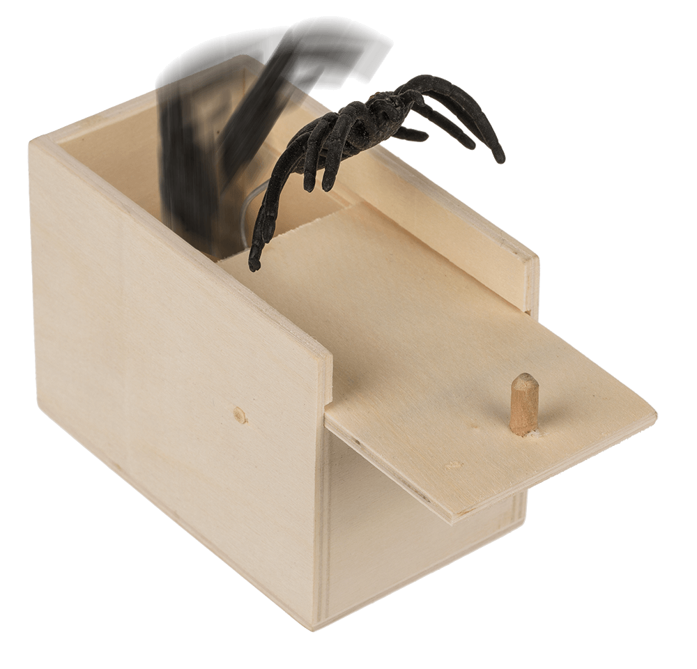 Scary spider in wooden box,
