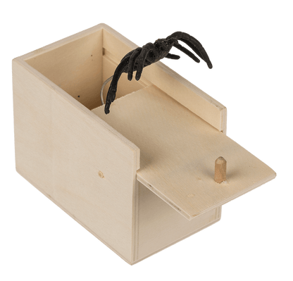 Scary spider in wooden box,