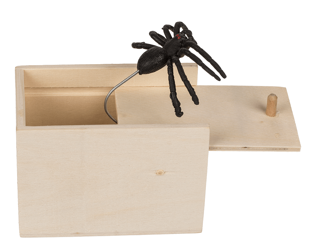 Scary spider in wooden box,