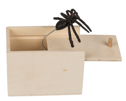 Scary spider in wooden box,