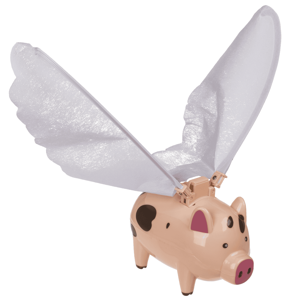 Flying Pig, 28,5 x 7 x 20 cm,