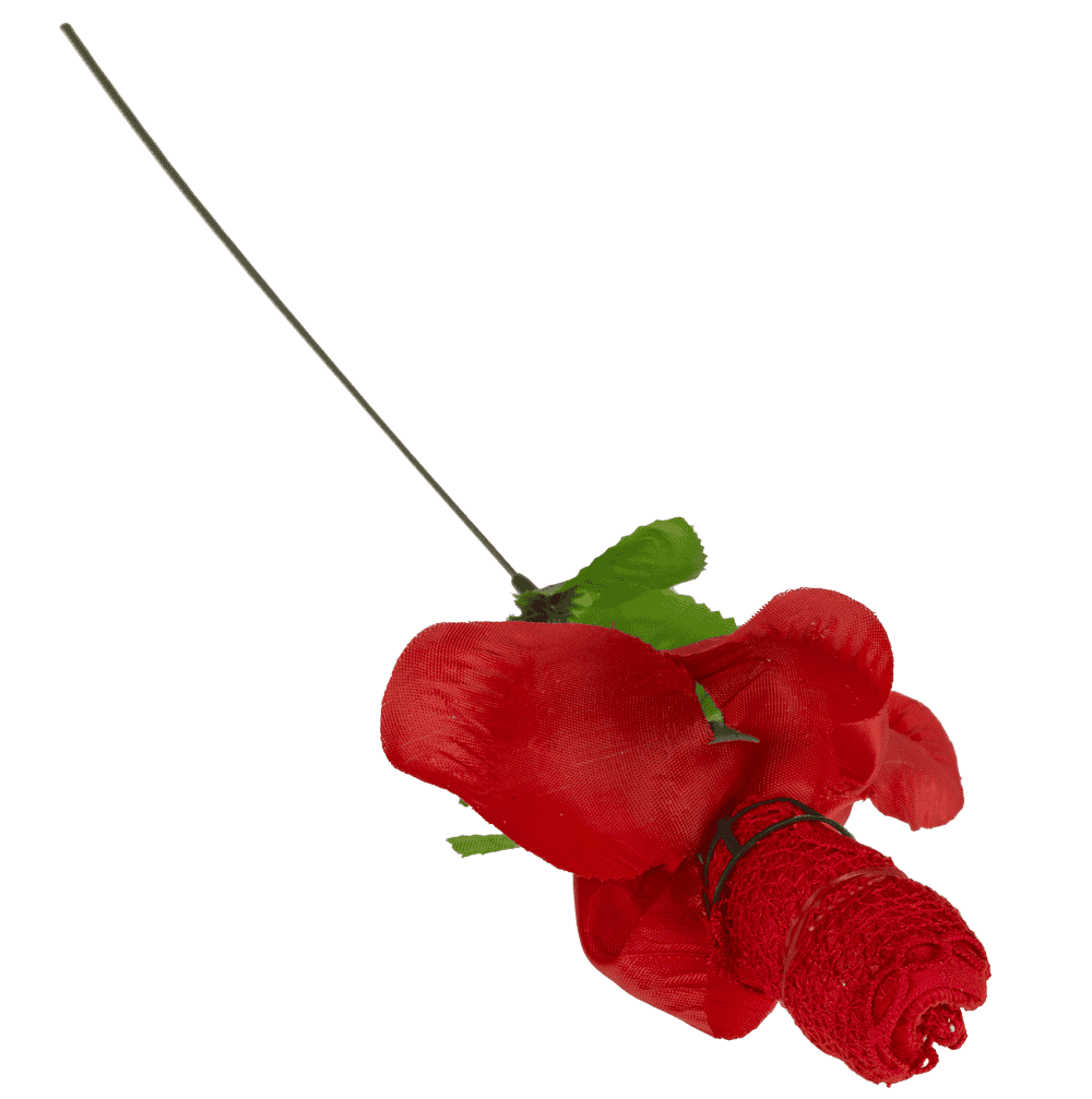 Rose with red G-string,