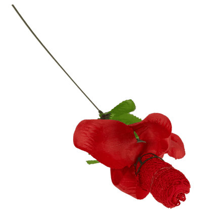 Rose with red G-string,