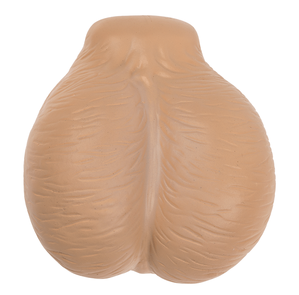 Squeeze Assortment, Sexy,