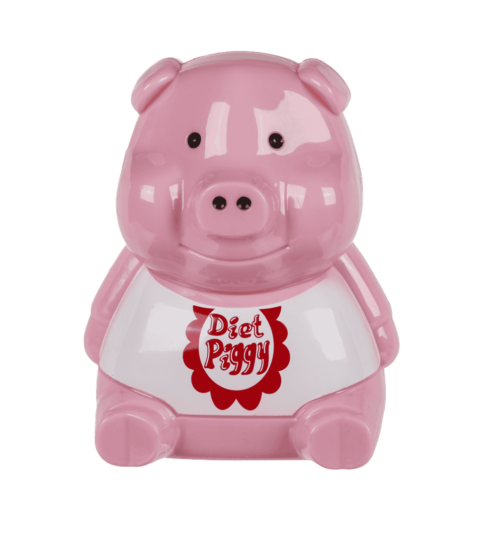Plastic diet piggy for the fridge,