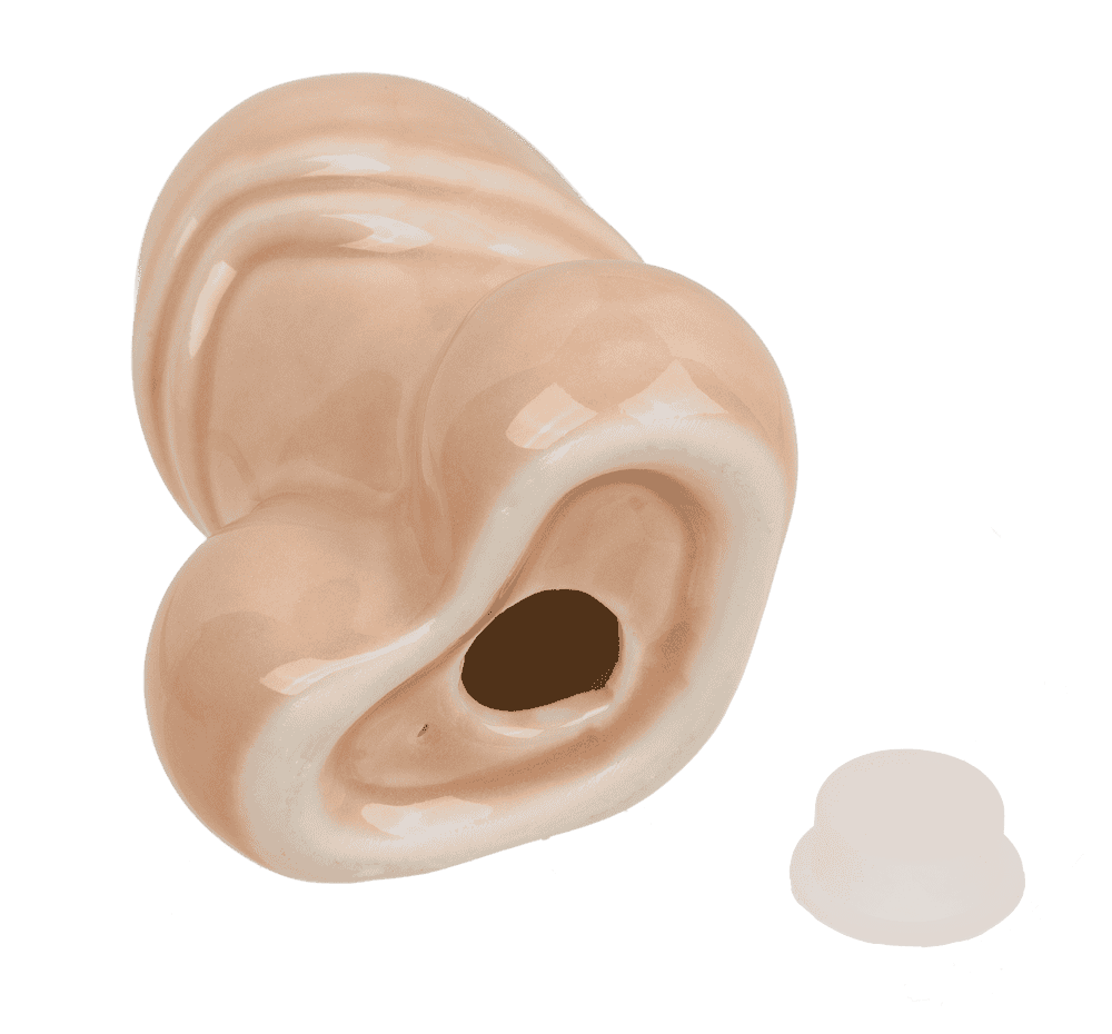 Salt & Pepper shaker, Penis,