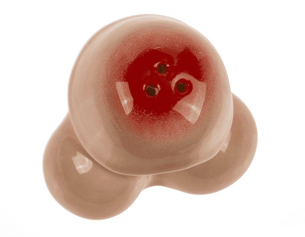 Salt & Pepper shaker, Penis,