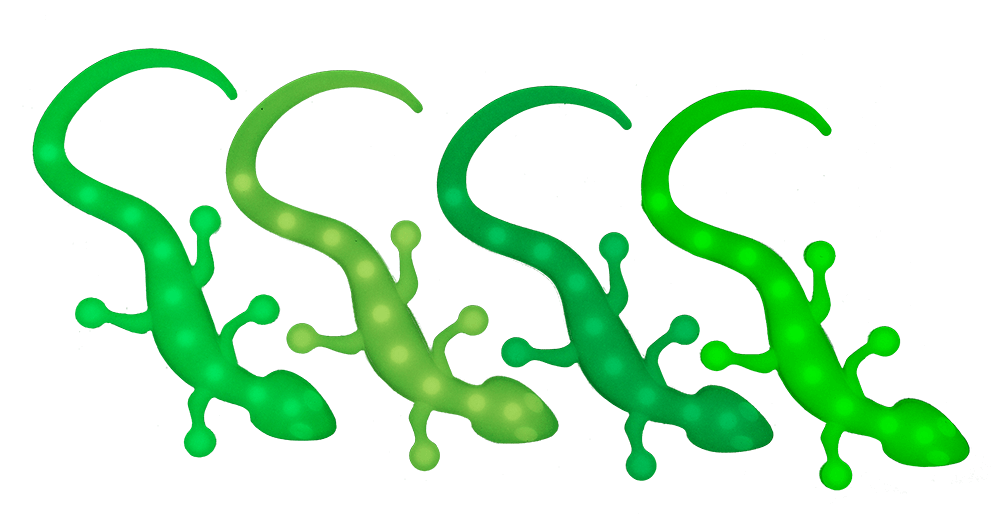 Fidget Toy, Magic Suction Lizard,