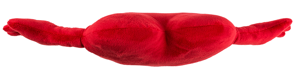 Red plush heart with arms,
