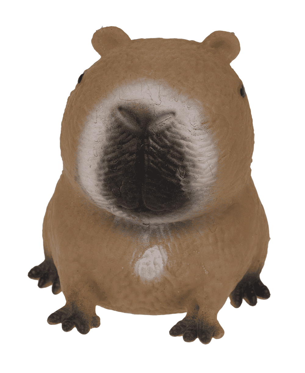 Squeezie Sand, Capybara