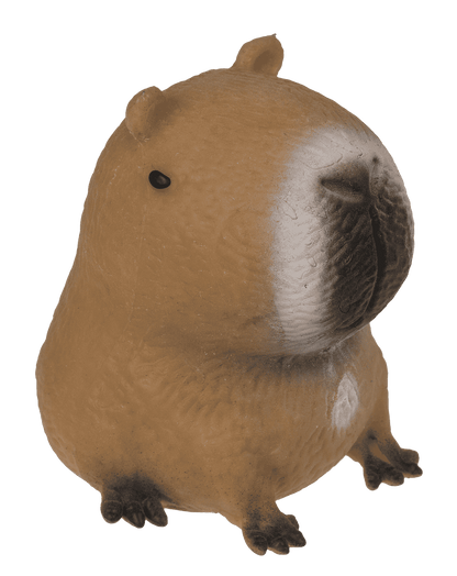 Squeezie Sand, Capybara