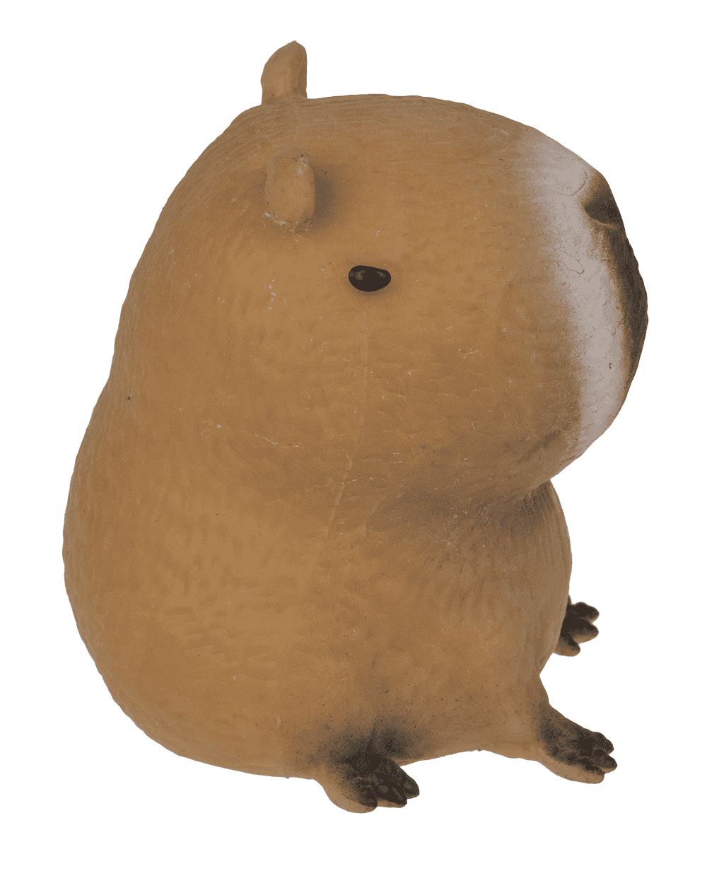 Squeezie Sand, Capybara