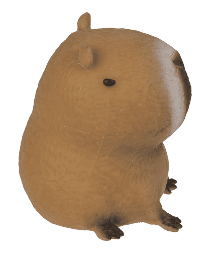 Squeezie Sand, Capybara