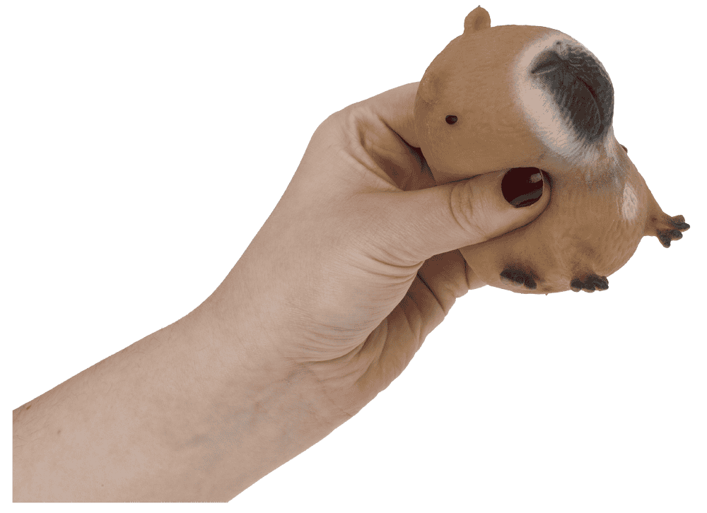 Squeezie Sand, Capybara