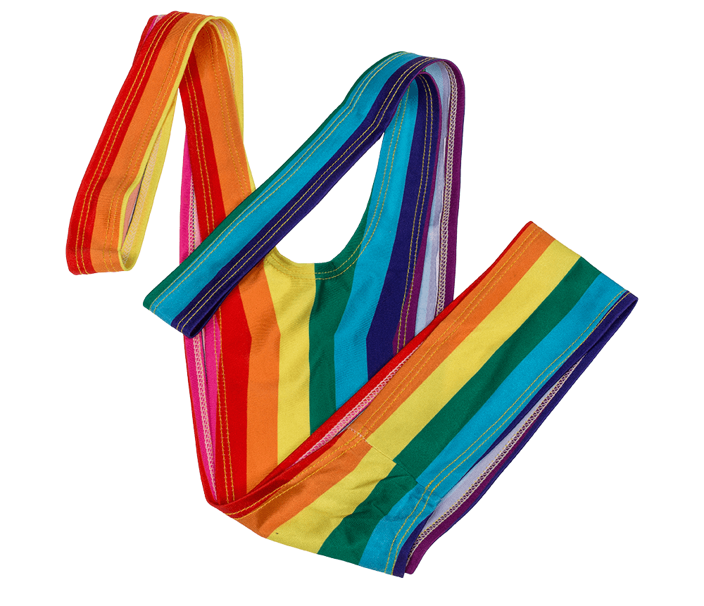 Man Swimsuit, Rainbow Mankini, Pride,