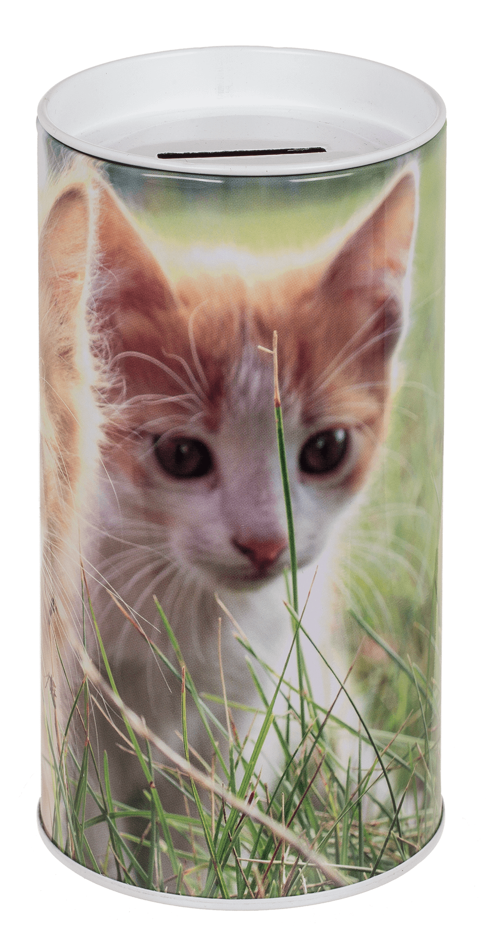 Metal Savings Box, Animals,