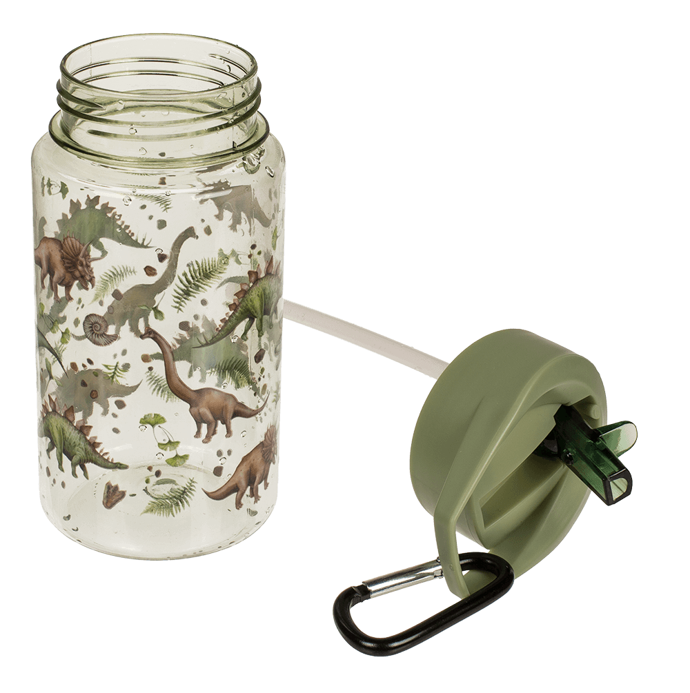 Drinking bottle, Dinosaur,