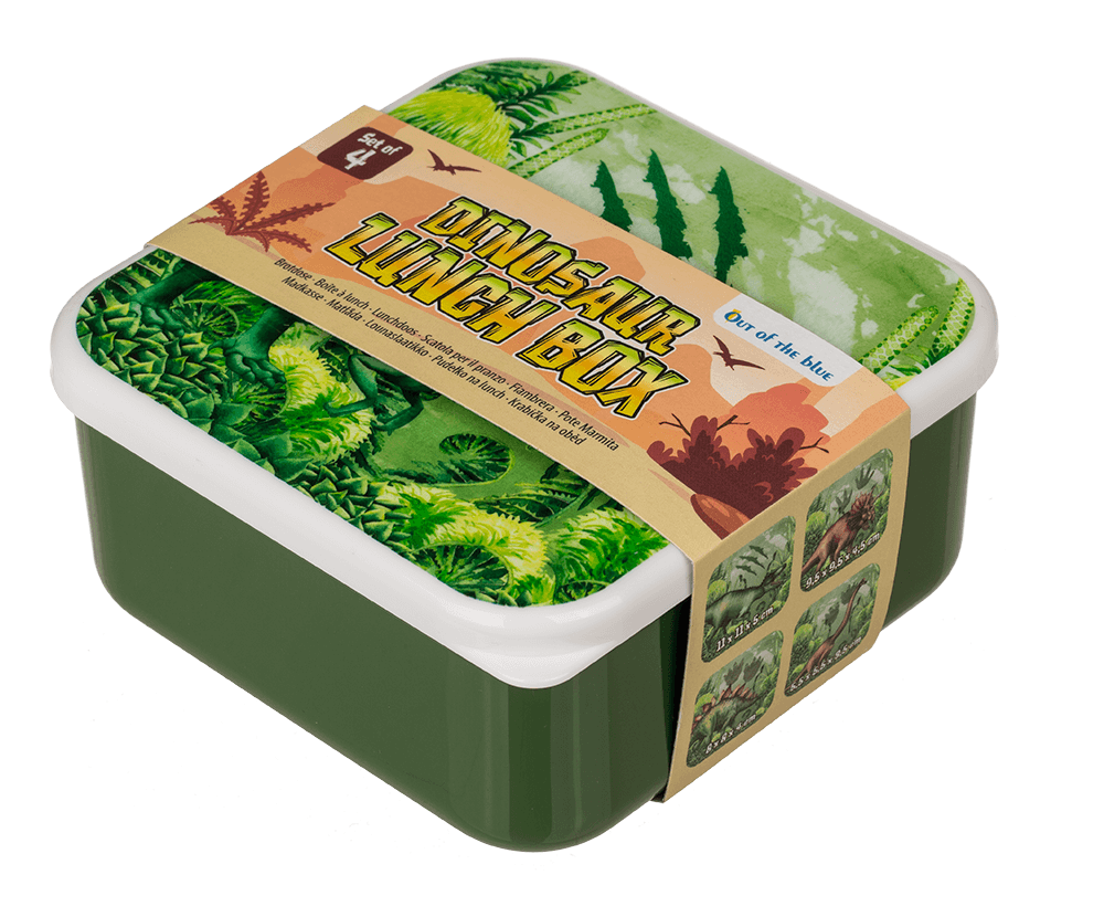 Lunch box, dinosaur, set of 4,