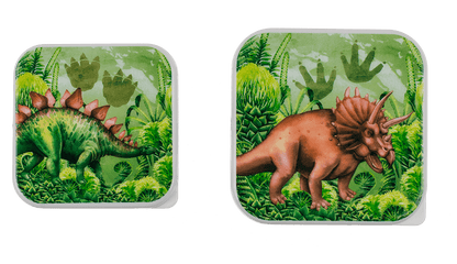 Lunch box, dinosaur, set of 4,