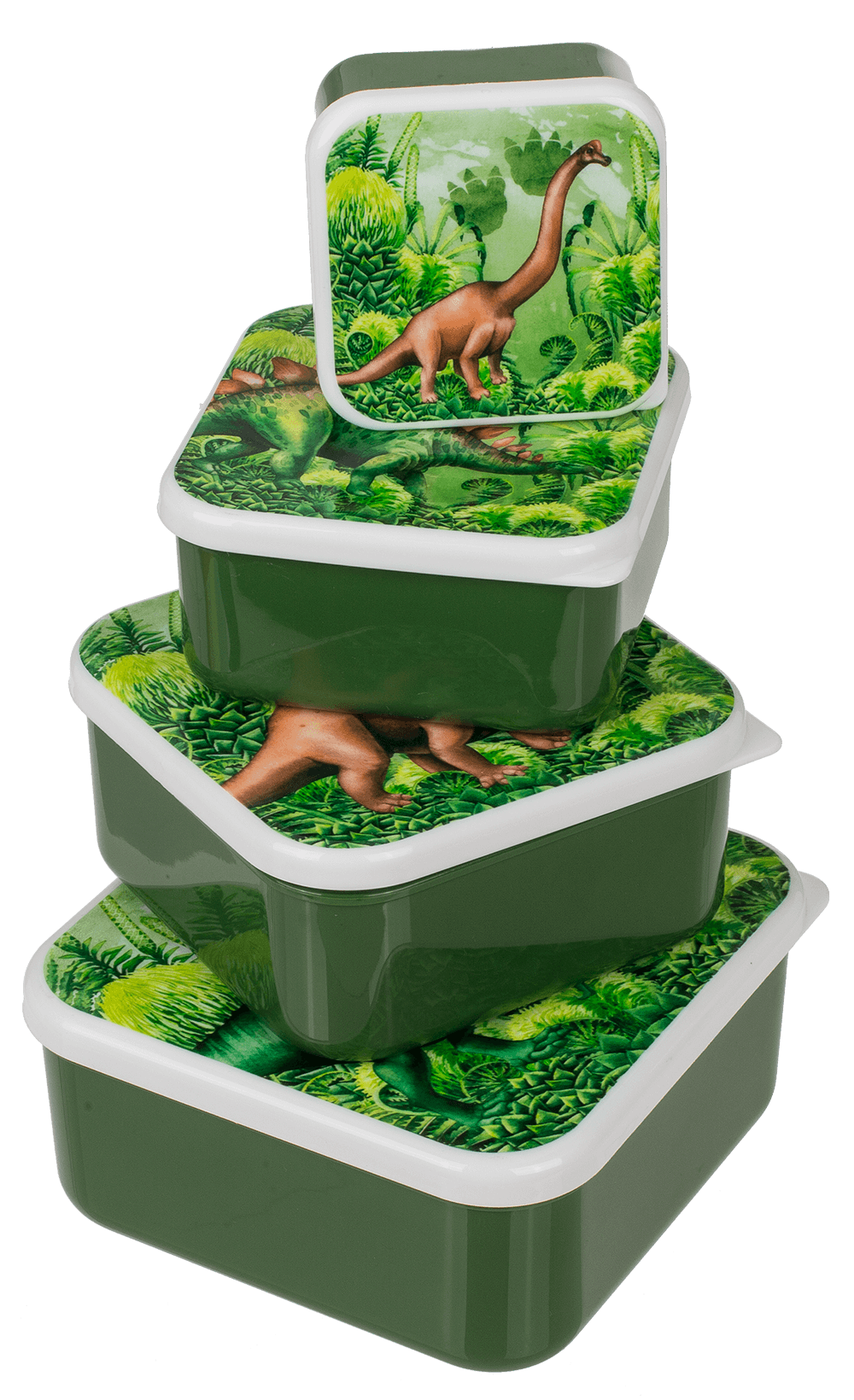 Lunch box, dinosaur, set of 4,