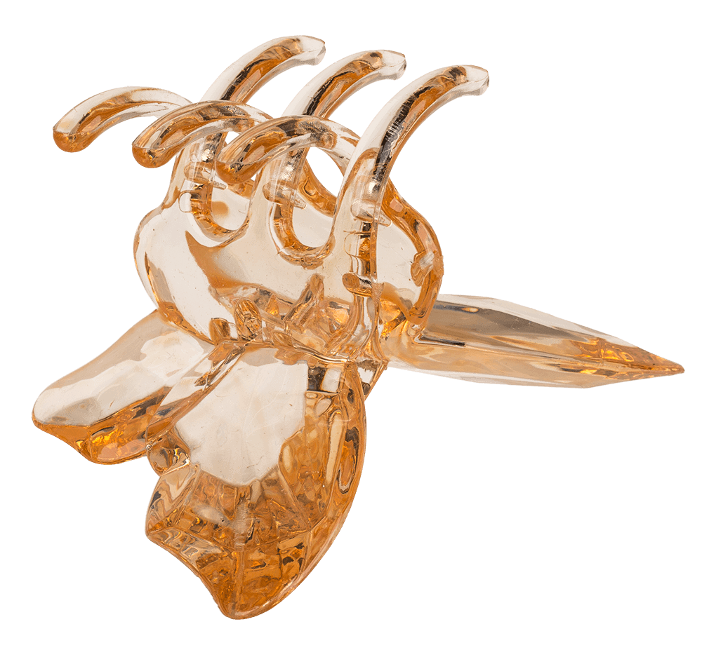 Acrylic hair claw, Butterfly,