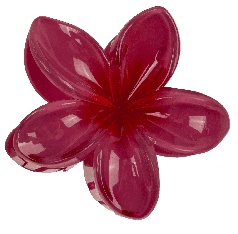 Hair claw, Magnolia,