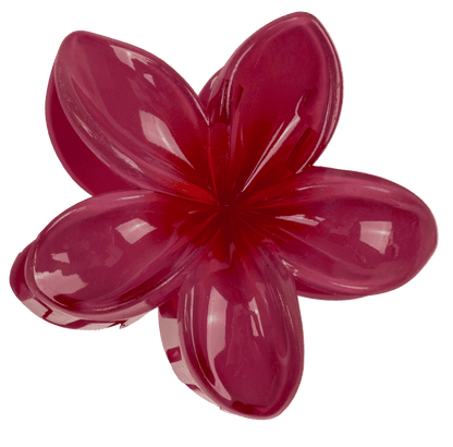 Hair claw, Magnolia,