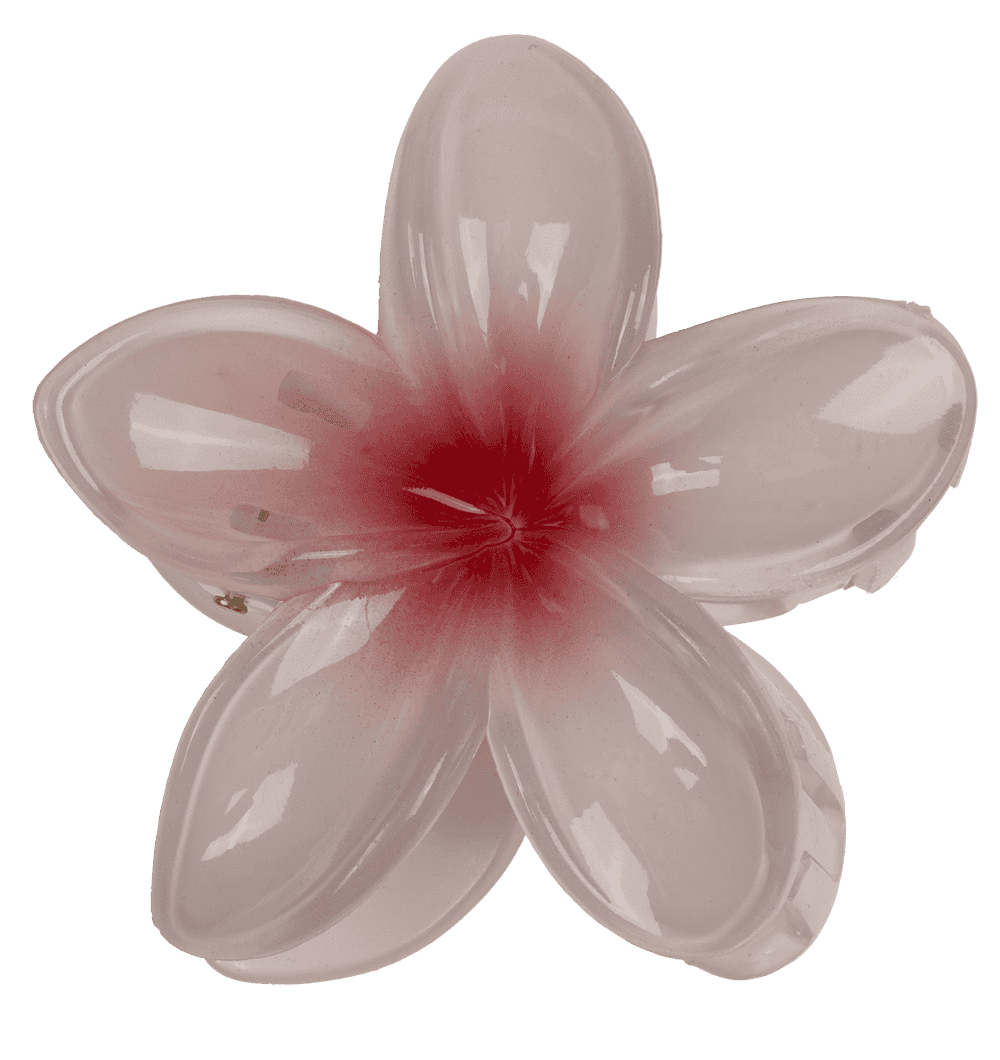 Hair claw, Magnolia,