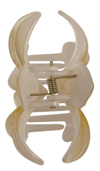 Hair claw, Magnolia,