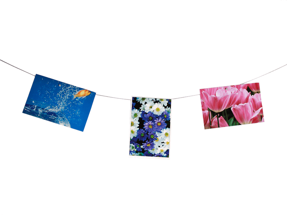 Photo steel wire with 12 magnets ,