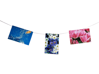 Photo steel wire with 12 magnets ,