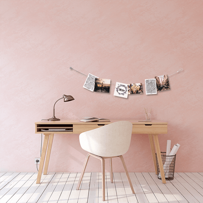 Photo steel wire with 12 magnets ,