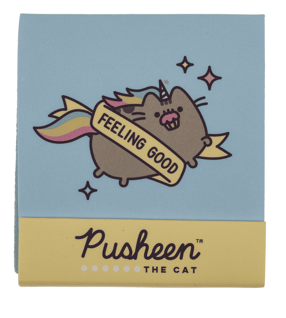 Matchbox nail files, Pusheen,
