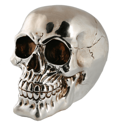 Polyresin savings box with lock, Skull,