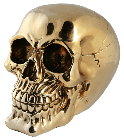 Polyresin savings box with lock, Skull,