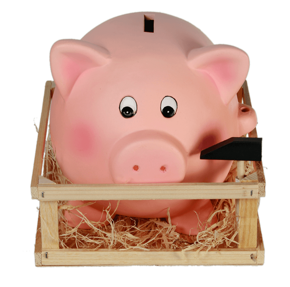 Savings box, Jumbo Pig with Hammer,