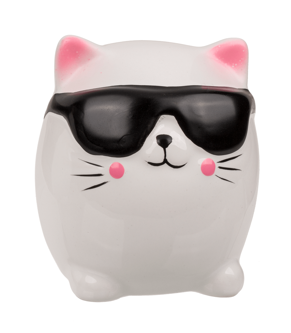 Savings bank, Kitten,