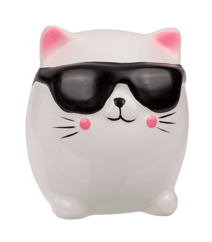 Savings bank, Kitten,