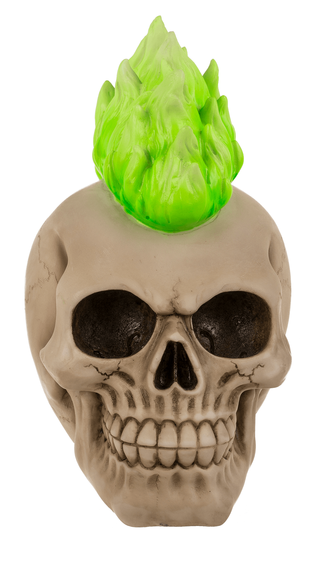 Savings bank with lock, Skull, Punk,