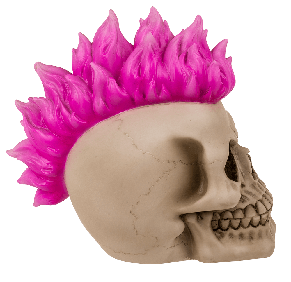 Savings bank with lock, Skull, Punk,