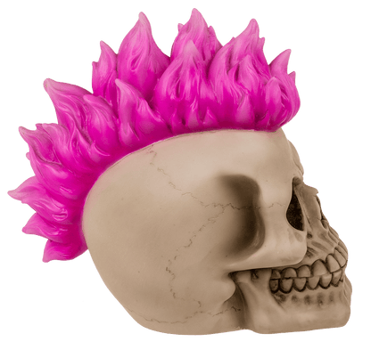 Savings bank with lock, Skull, Punk,