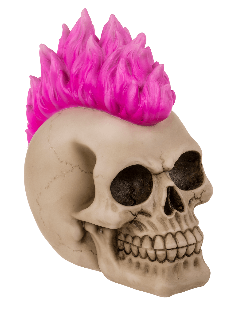 Savings bank with lock, Skull, Punk,