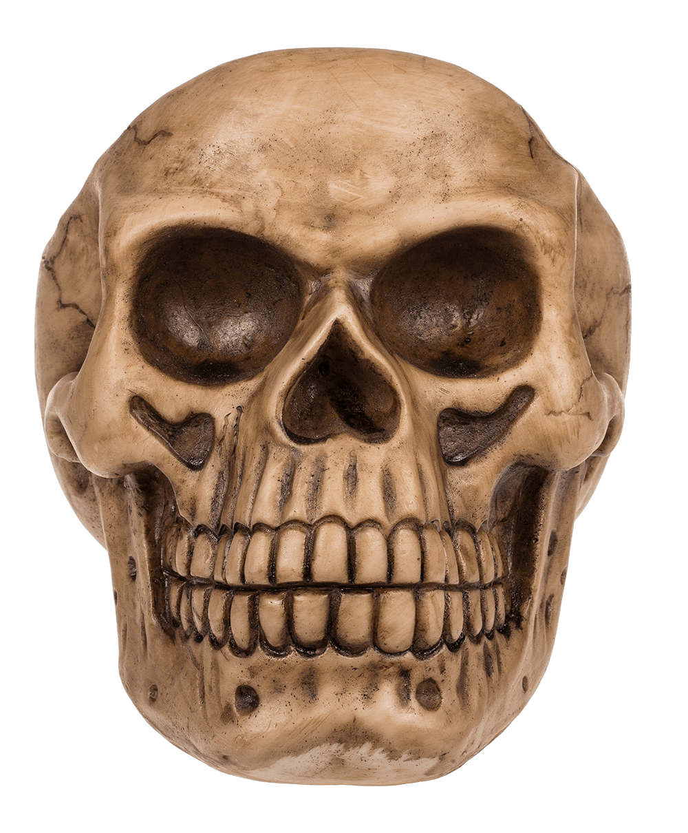 Skull Organiser, with Glasses Holder and