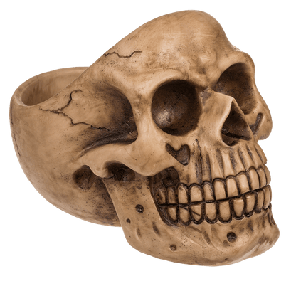 Skull Organiser, with Glasses Holder and