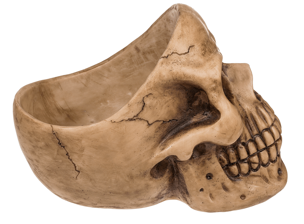 Skull Organiser, with Glasses Holder and